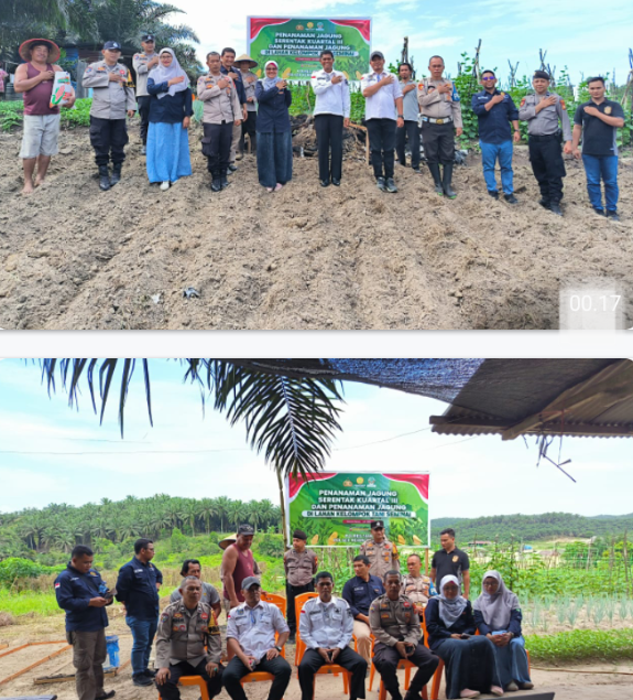 Penanaman Jagung Serentak Kuartal III Polsek Kerinci Kanan, Dukung Program Ketahanan Pangan 