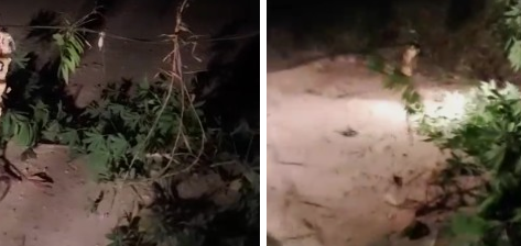 Bahaya, Kabel Listrik Mejuntai Diatas Permukaan Tanah