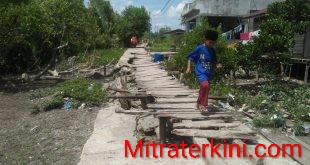 Jalan Raja Ali Haji yang mengalami rusak parah di Kecamatan Pasir Limau Kapas