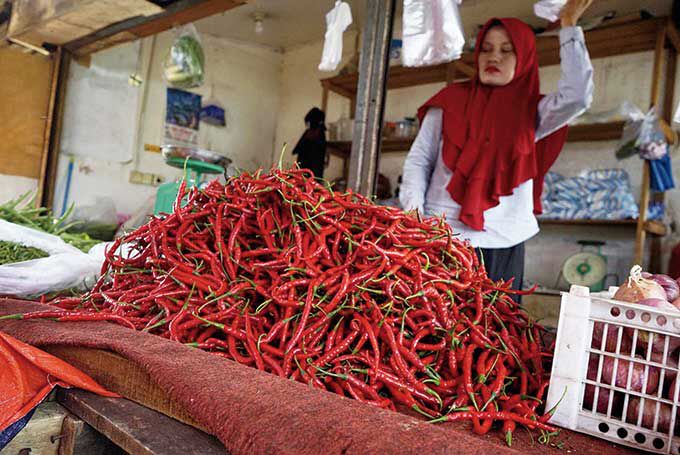 Jalur Distribusi Terganggu, Harga Cabai di Siak Makin Pedas