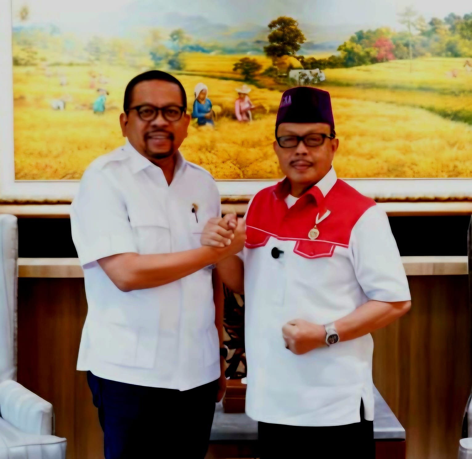 PWMOI Apresiasi Putusan MK Tutup Jalan Pidana dan Gugatan terhadap Karya Jurnalistik