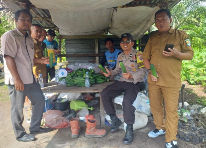 Panen Raya Kelompok Tani Mina Sejahtera, Wujud Pemberdayaan Pangan Kampung Empang Baru