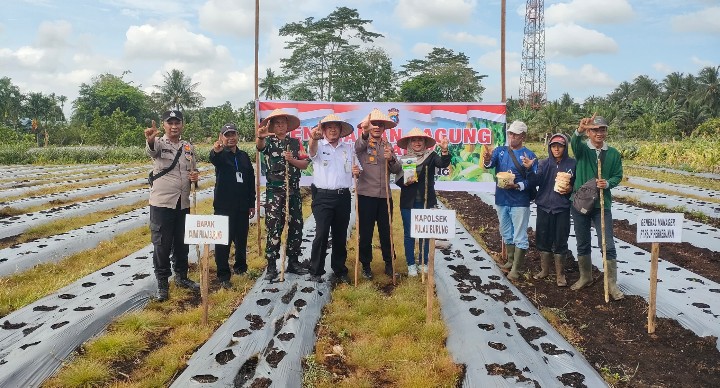 Polsek Pulau Burung Tanam Jagung Kuartal I, Dukung Program Asta Cita Presiden RI
