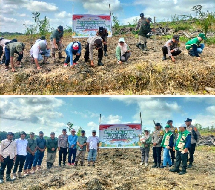Polsek Lubuk Dalam Tanam Jagung Kuartal I 2026, Dukung Program Swasembada Pangan
