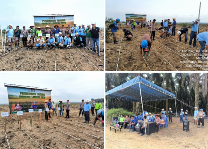 Polsek Kerinci Kanan Tanam Jagung Kuartal I 2026, Perkuat Ketahanan Pangan Nasional