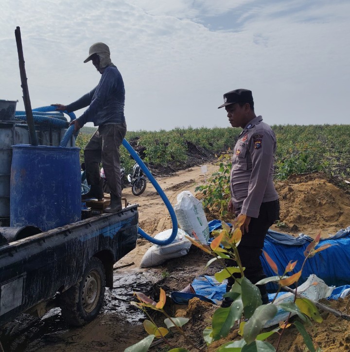 Jamin Kelancaran Sektor Pertanian, Bhabinkamtibmas Polsek Sungai Mandau Monitor Penyiraman Lahan Jagung PT RAPP