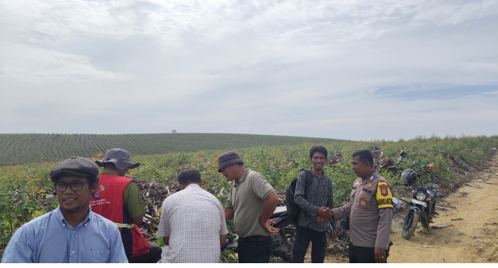 Dukung Ketahanan Pangan, Tim Ketapang Polda Riau Tinjau Pertumbuhan Jagung Pipil di Lahan PT RAPP Estate Mandau