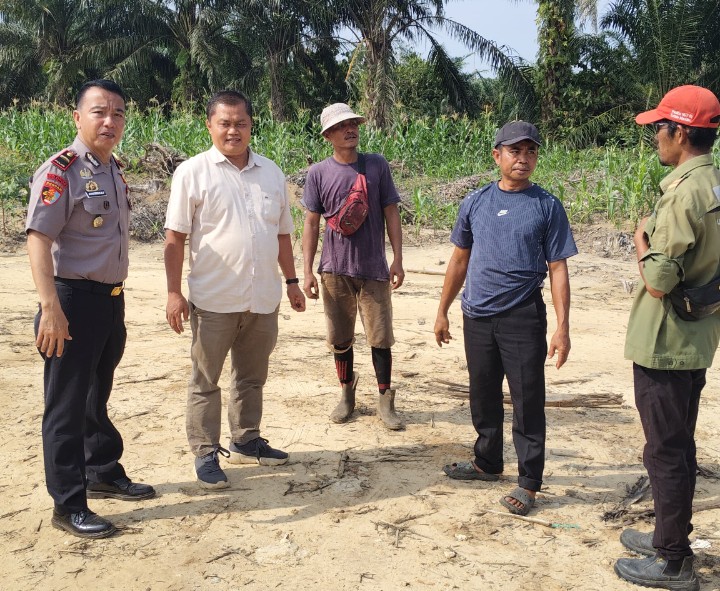 Kapolsek Sungai Mandau Pantau Jagung Pipil di Lahan RAPP, Dorong Ketahanan Pangan Daerah