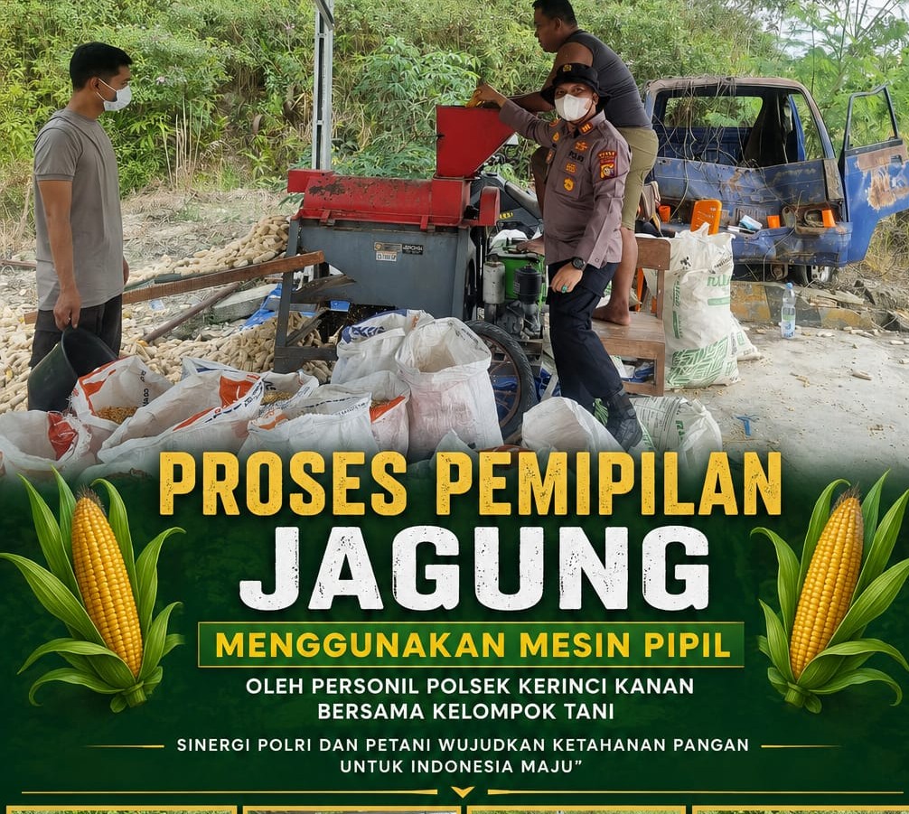 Personel Polsek Kerinci Kanan Bersama Kelompok Tani Pipil Jagung Hasil Panen Dukung Program Ketahanan Pangan Nasional