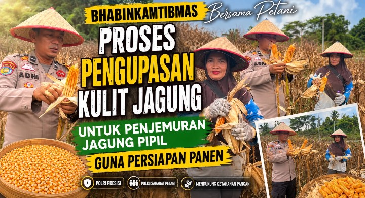 BHABINKAMTIBMAS POLSEK KERINCI KANAN DAMPINGI PETANI KUPAS KULIT JAGUNG, DUKUNG KETAHANAN PANGAN NASIONAL