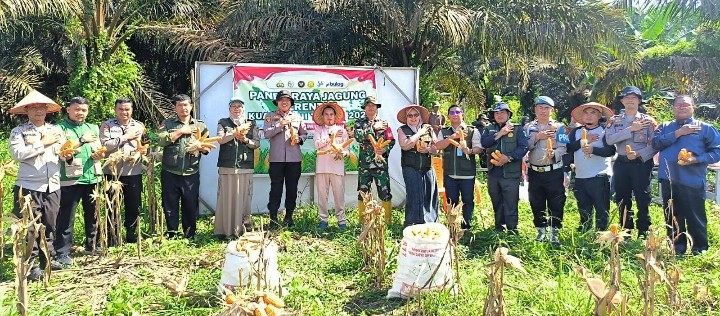 Polsek Kerinci Kanan dan Pemerintah Kampung dan Kelompok Tani, Panen Jagung 