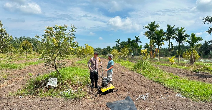 Personil Polsek Koto Gasib Menyiapkan  Lahan Jagung di Poktan Mekar Sari 