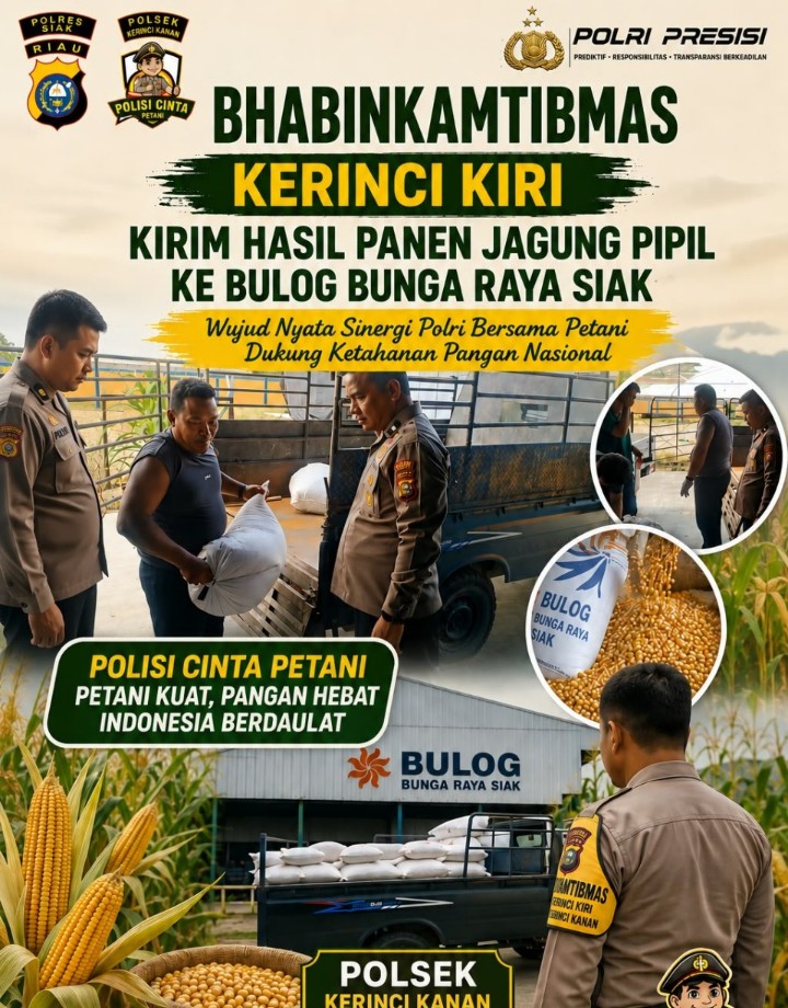 Bhabinkamtibmas Kawal Pengiriman Jagung Pipil ke Bulog Siak, Dukung Ketahanan Pangan Nasional