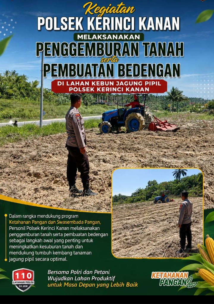Progres Tanam Jagung Pipil Kuartal III Digenjot, Penggemburan Tanah dan Pembuatan Bedeng Dilakukan