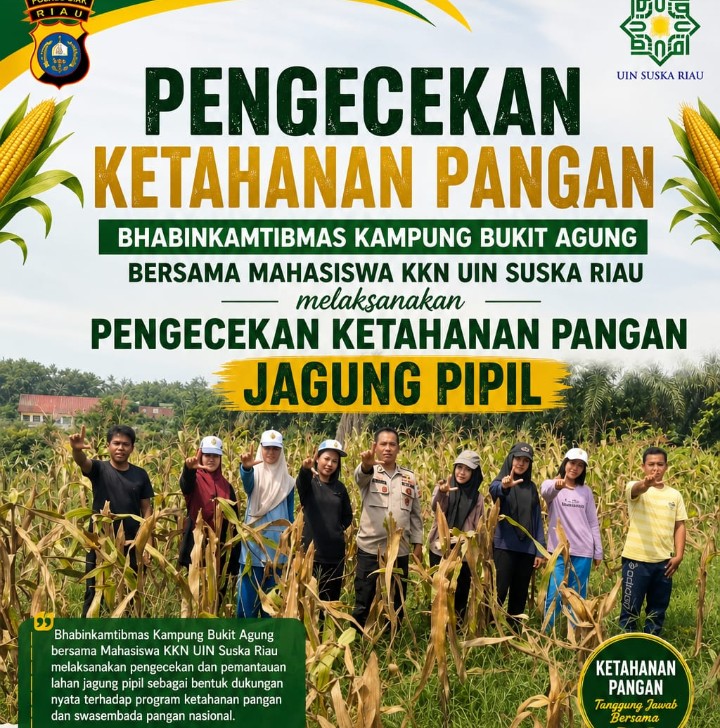 Mahasiswa KKN UIN Suska Riau Bersama Bhabinkamtibmas Cek Ketahanan Jagung Pipil di Bukit Agung