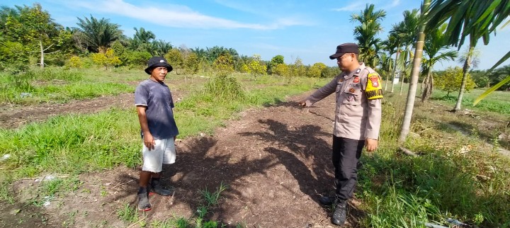 Personil Polsek Koto Gasib Cek Kesiapan  Lahan Jagung di Poktan Mekar Sari 