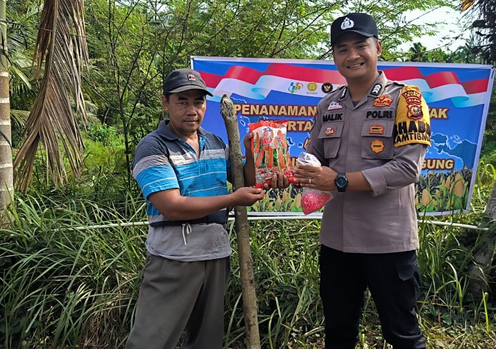 Bhabinkamtibmas Buatan Baru Bersama Kelompok Tani Sinergi Dukung Asta Cita melalui Penanaman Jagung Pipil Kuartal III 2026