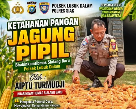 Panen Jagung Pipil Kuartal II di Sialang Baru Dukung Swasembada Pangan Nasional