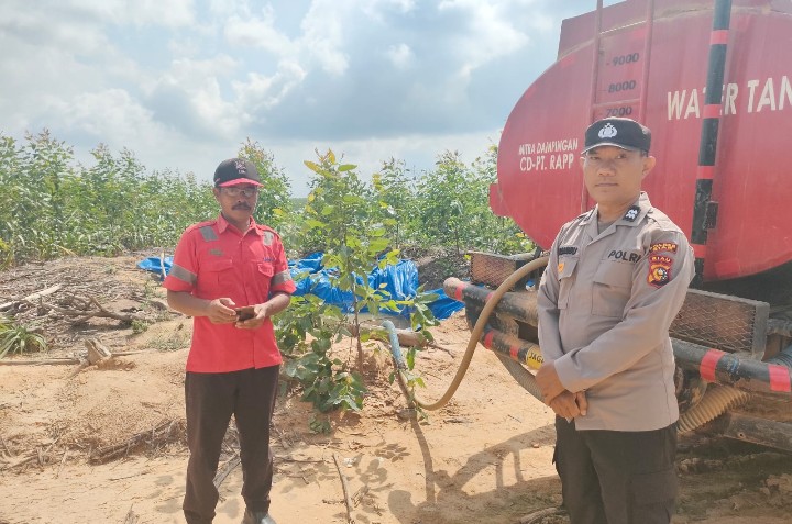 Personel Polsek Sungai Mandau Rutin Lakukan Penyiraman Jagung Pipil di Lahan PT RAPP Estate Mandau