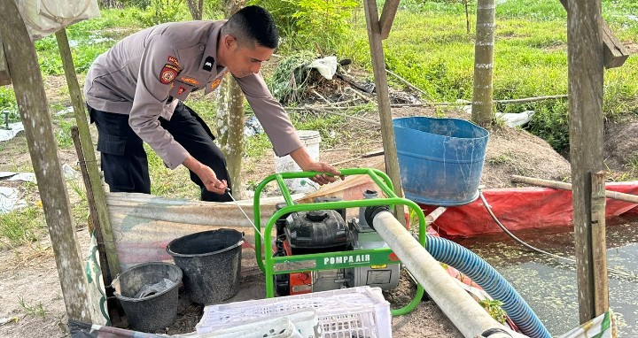 Polsek Koto Gasib melakukan Penyiraman tanaman jagung pipi Poktan Mekar Sari