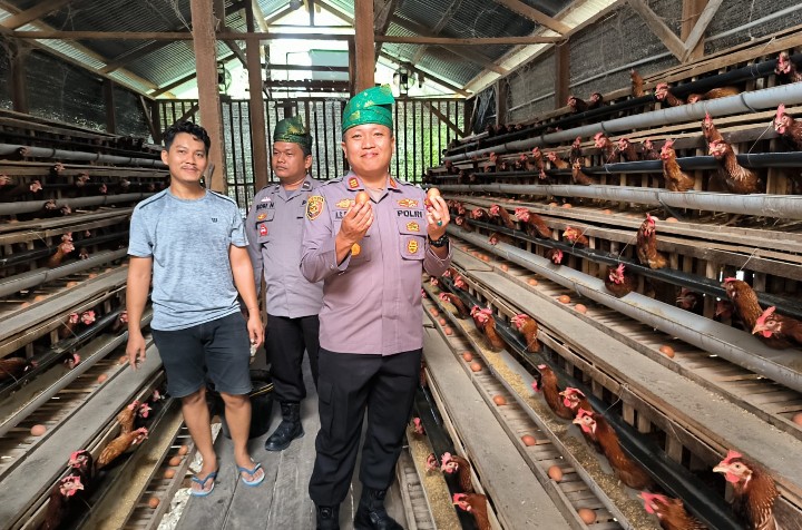 Kapolsek Tinjau Ketahanan Pangan Ayam Petelur di Kampung Delima Jaya