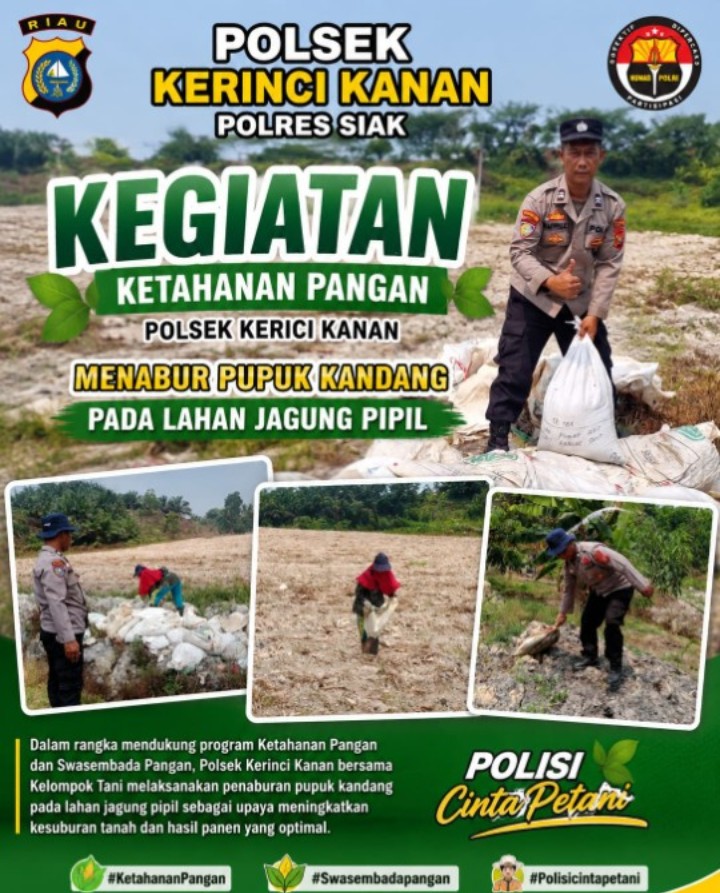 Kanit Binmas Polsek Kerinci Kanan Bersama Kelompok Tani Taburkan Pupuk Kandang, Perkuat Progres Penanaman Jagung Pipil Kuartal III 2026