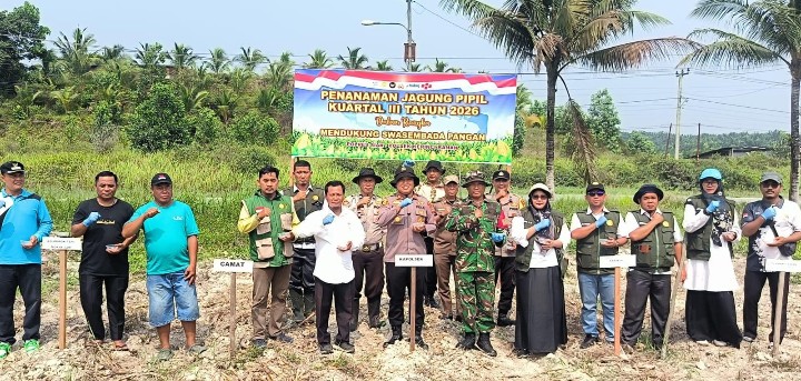 Bersama Wujudkan Ketahanan Pangan, Polsek Kerinci Kanan Bersinergi Tanam Jagung Pipil Kuartal III 2026