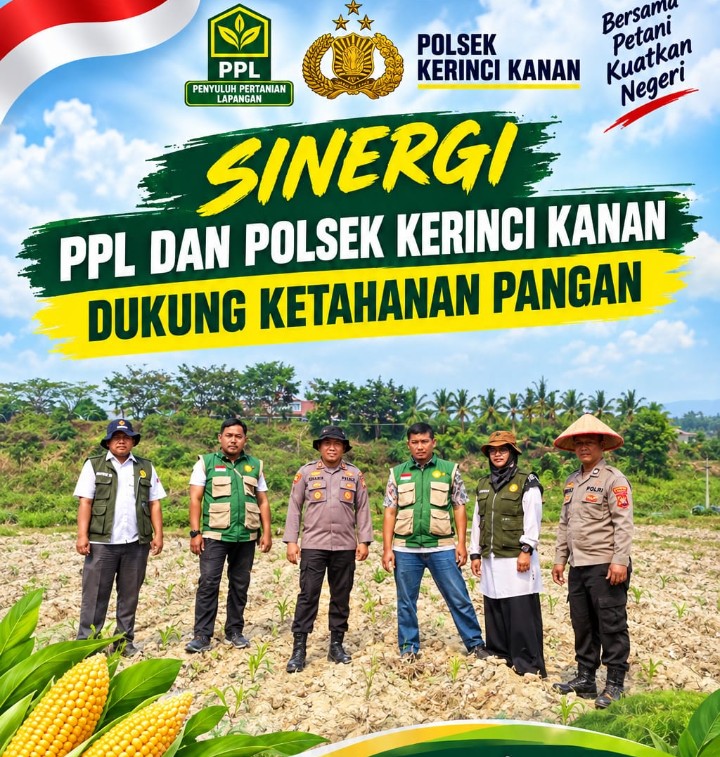 Kapolsek dan PPL Turun Langsung, Perkuat Asta Cita Ketahanan Pangan Melalui Jagung Pipil