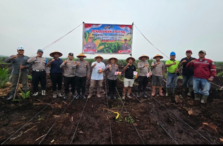 Polsek Sungai Mandau dan PT. SIR II Buka Lahan Penanaman Jagung Pipil Seluas 3 Hektar